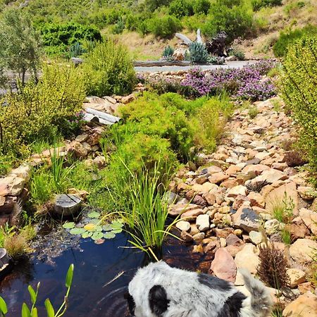 Roodekloof Apartment Montagu Luaran gambar