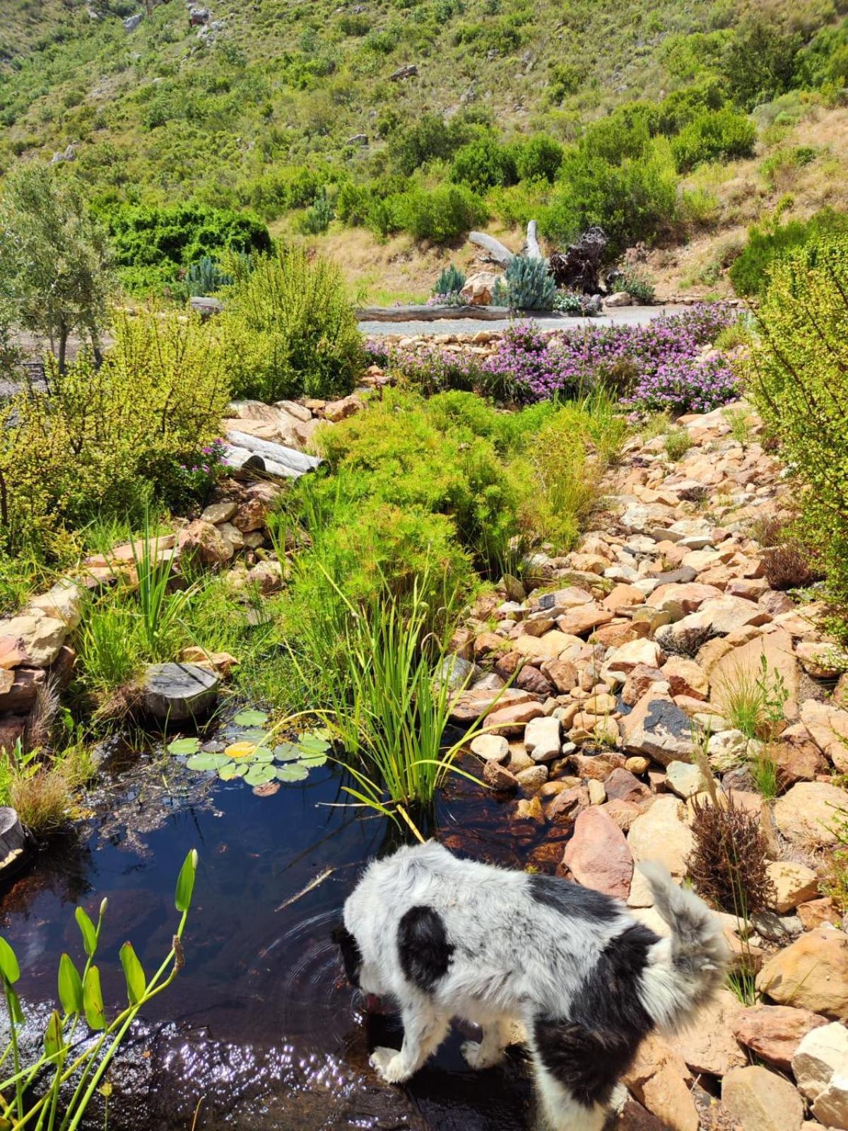 Roodekloof Apartment Montagu Luaran gambar