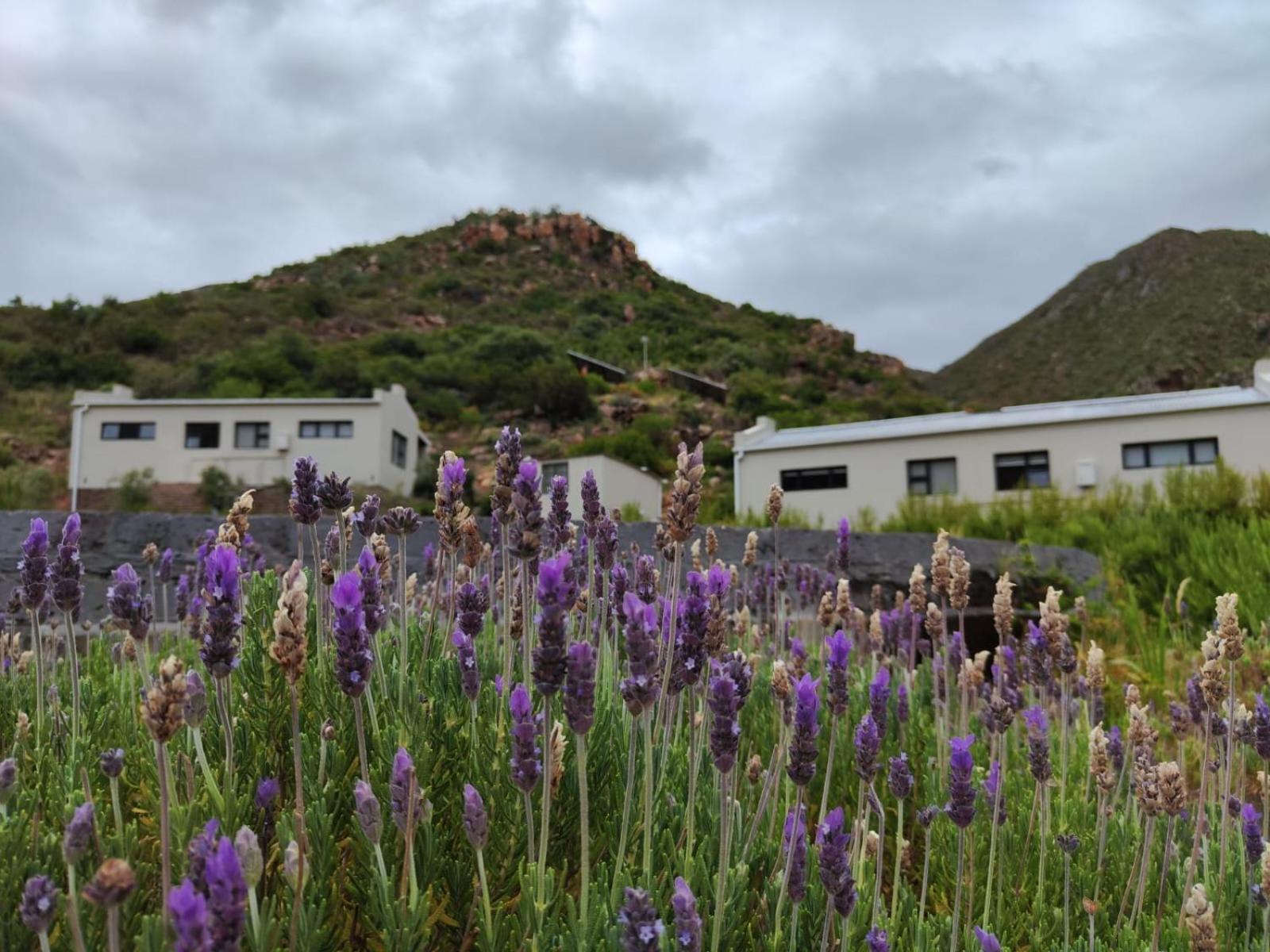 Roodekloof Apartment Montagu Luaran gambar