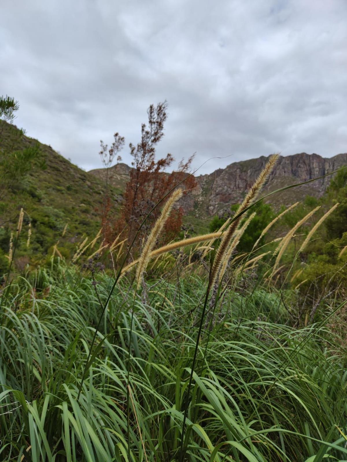 Roodekloof Apartment Montagu Luaran gambar