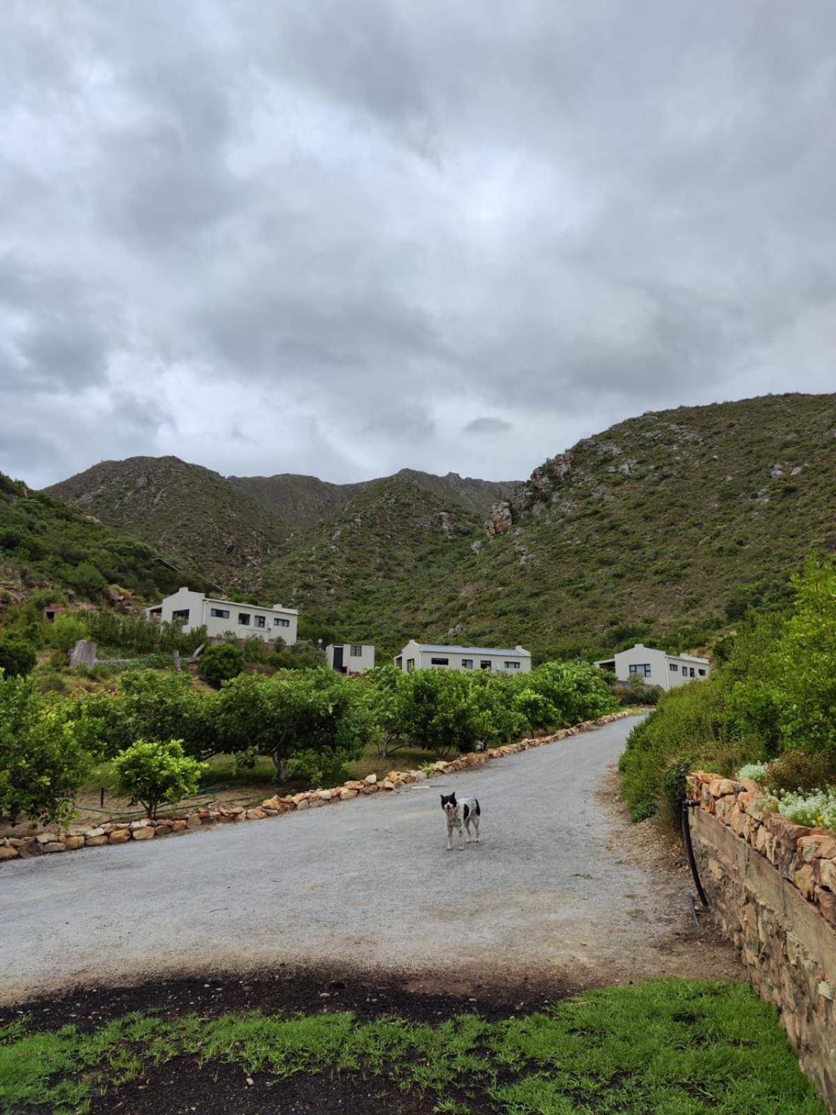 Roodekloof Apartment Montagu Luaran gambar